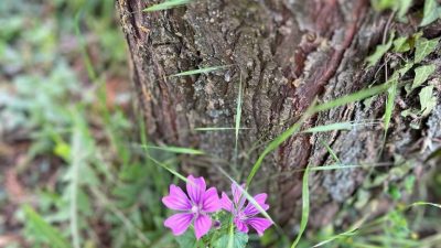 Und weiter gehts – Albanien und Nordmazedonien